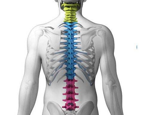 Chiro Supplies
