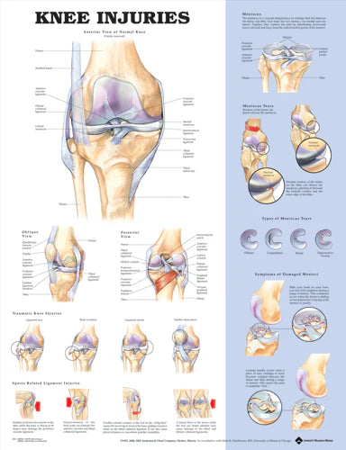 Knee Injuries