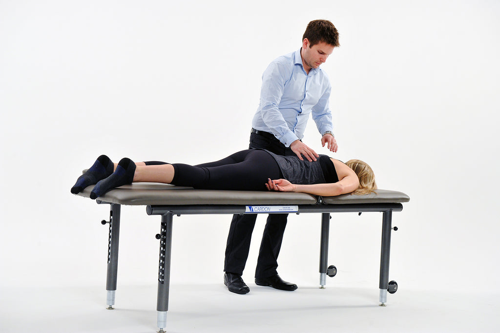 Adjustable Height Treatment Table (AHT)