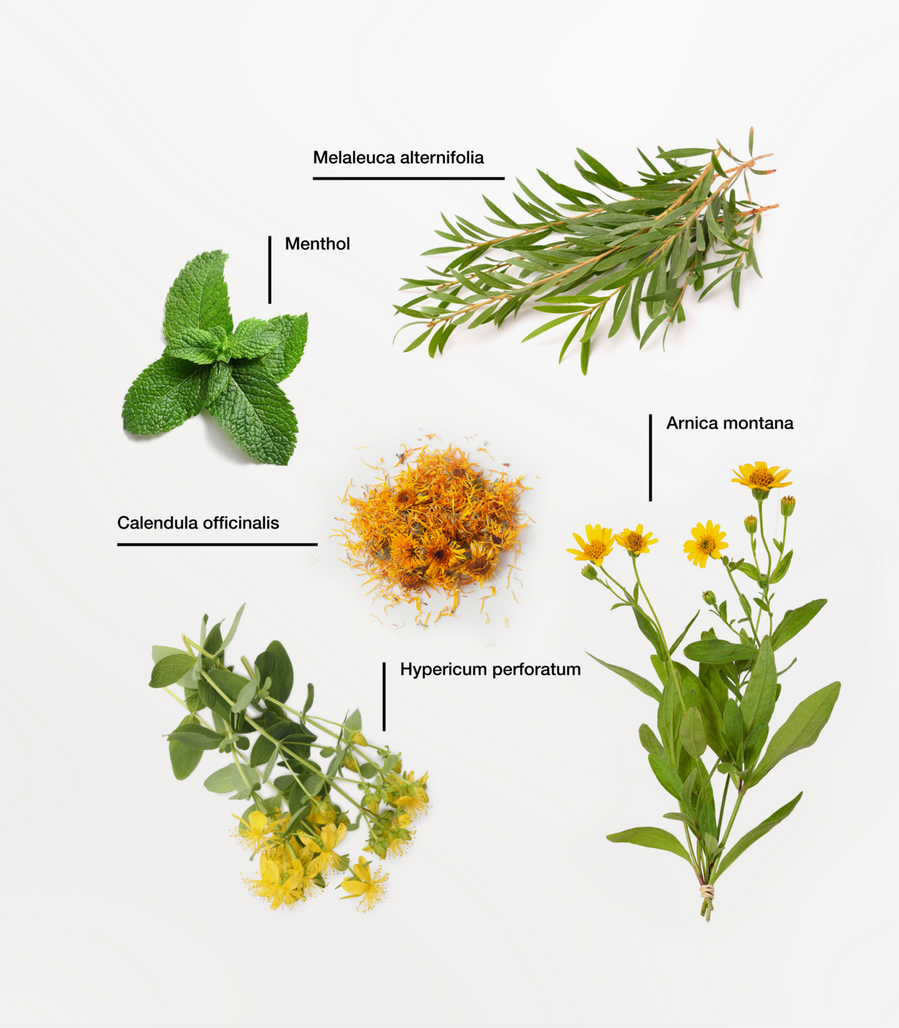 Fisiocrem Solugel 700g