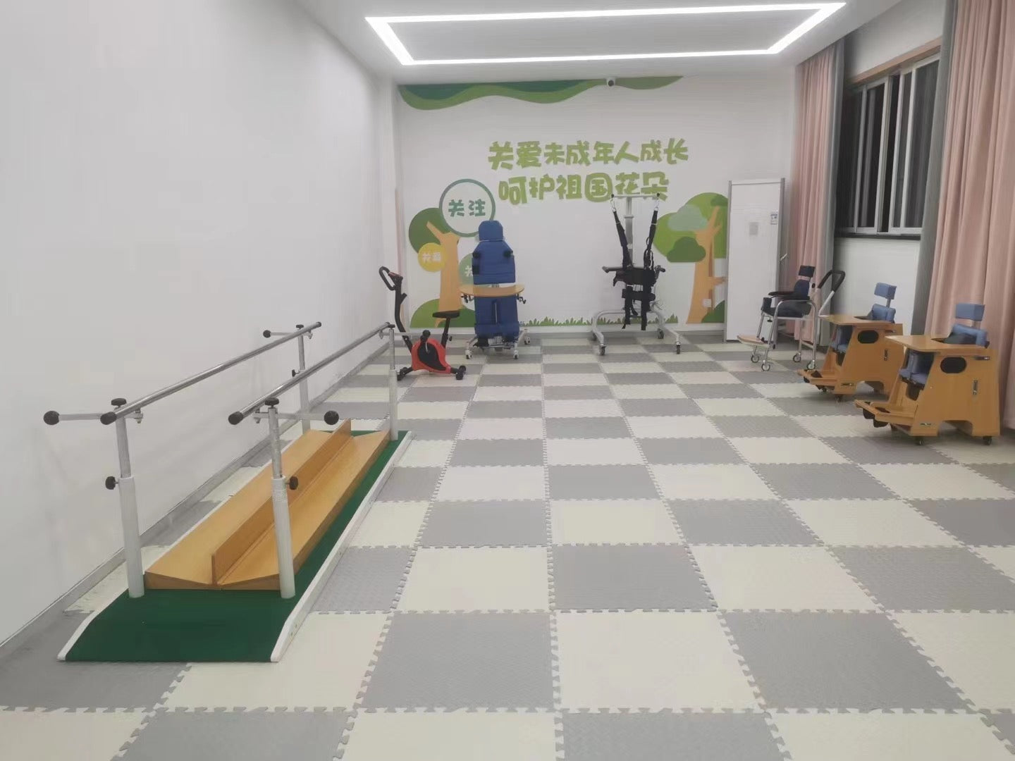 Platform Mounted Parallel Bars, Height & Width Adjustable (Copy)