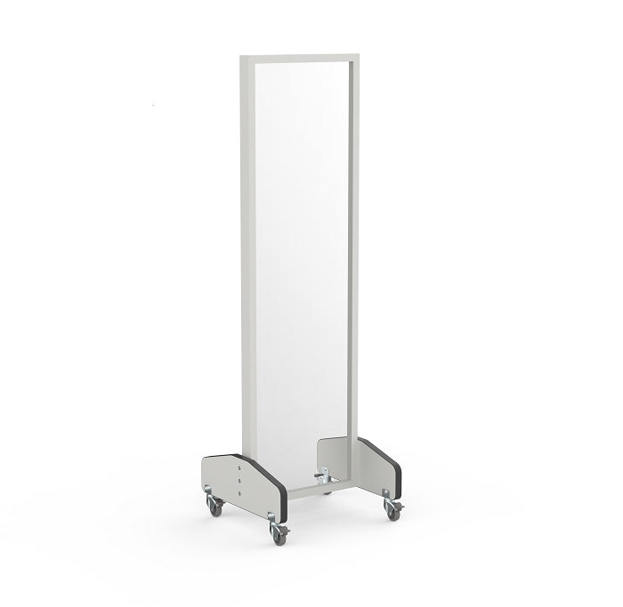 Physical Therapy Mobile Treatment Mirror