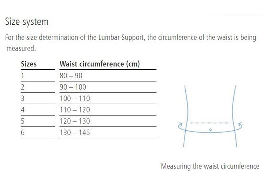 Dynamics Plus Lumbar Support - physio supplies canada