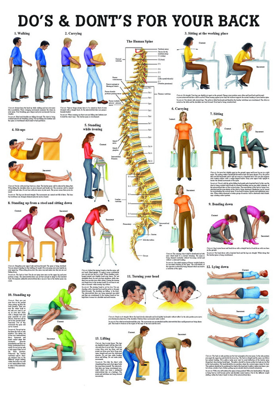 Do's & Dont's For Your Back ( Laminated) - physio supplies canada